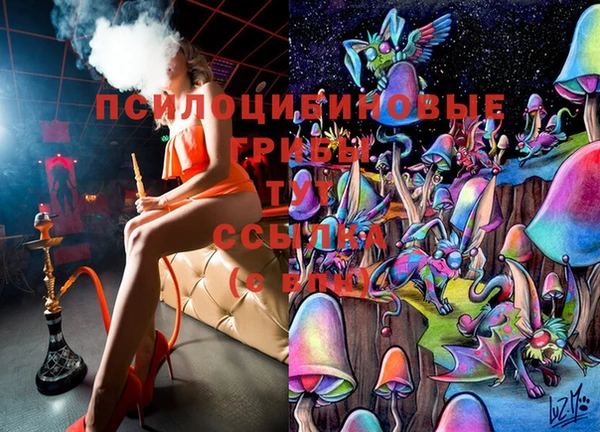прущая мука Аркадак
